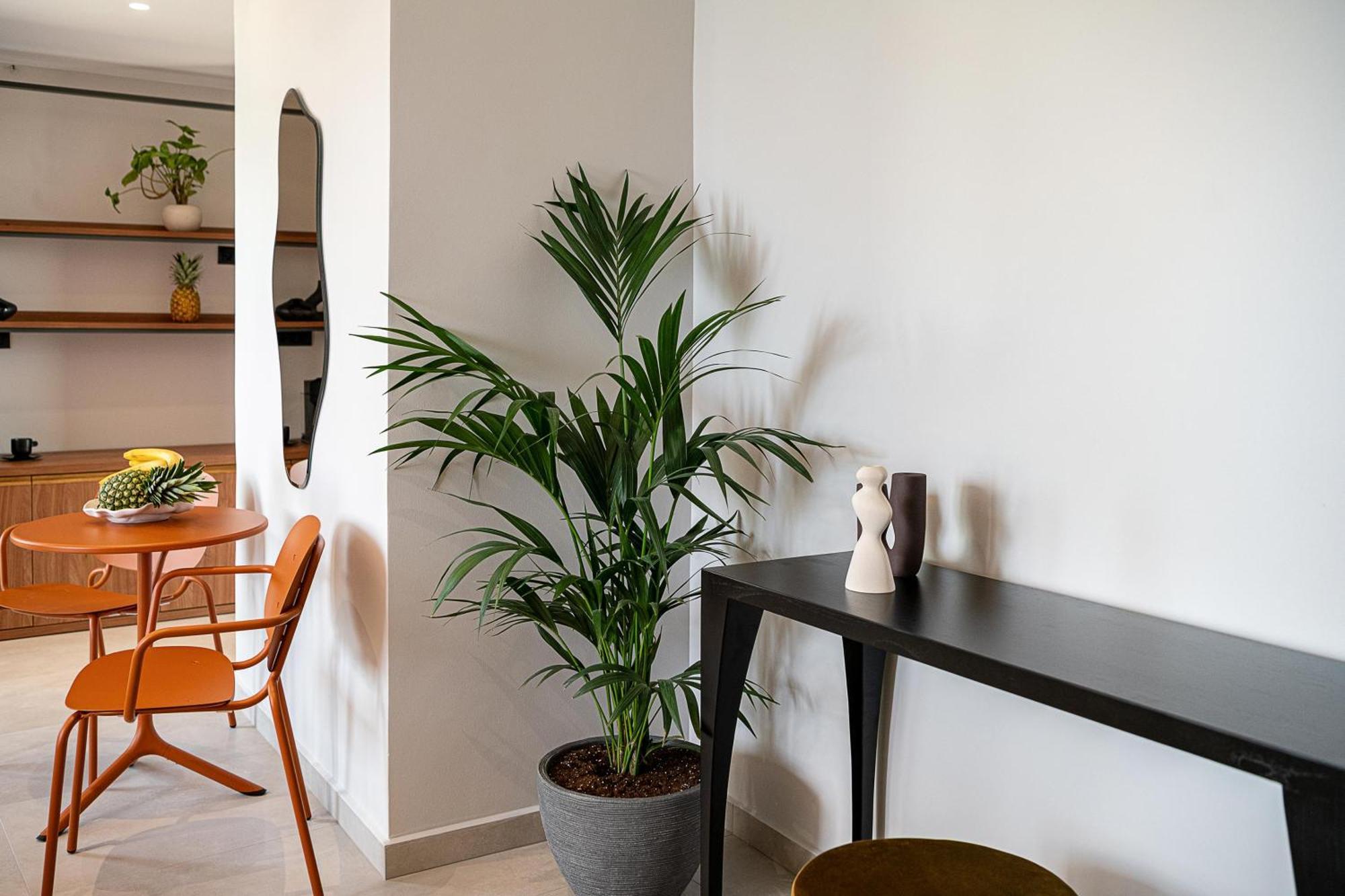 Theta Boutique Hotel 干尼亞 外观 照片